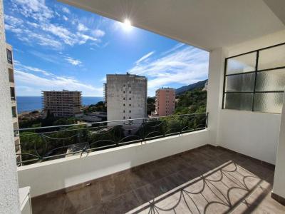 Annonce Location 2 pices Appartement Ajaccio 20