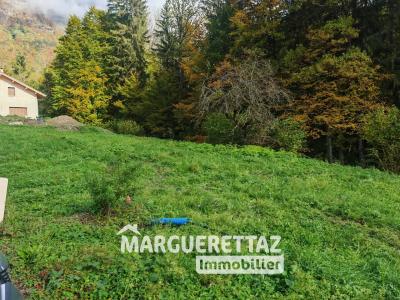 Acheter Terrain 1225 m2 Mieussy