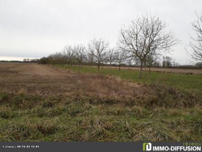 For sale Aube (10270) photo 2