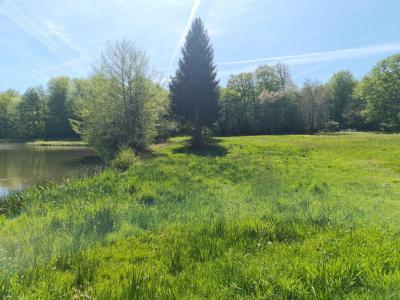 Acheter Terrain 30500 m2 Saulgond