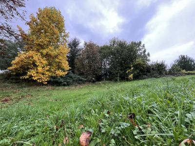 For sale Feytiat 1000 m2 Haute vienne (87220) photo 0