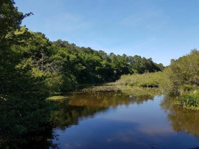 Acheter Terrain Mimizan Landes