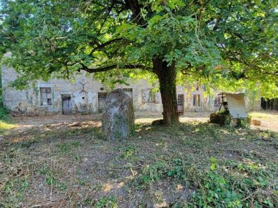 For sale Brigueuil CONFOLENS 9 rooms 235 m2 Charente (16420) photo 4