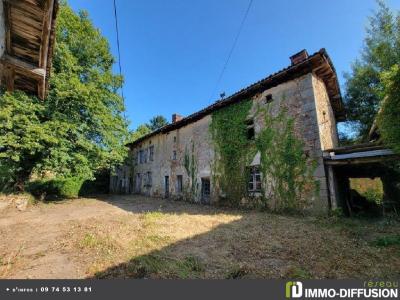 For sale CONFOLENS 9 rooms 235 m2 Charente (16420) photo 0