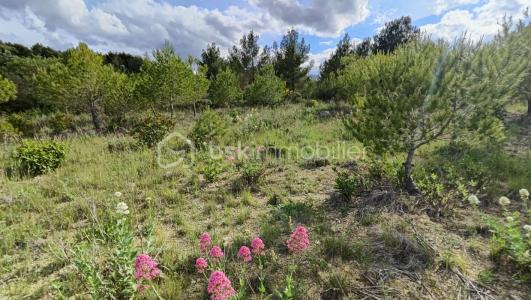 For sale Sigean 2730 m2 Aude (11130) photo 0