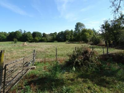 For sale Cernoy-en-berry 3 rooms 69 m2 Loiret (45360) photo 2