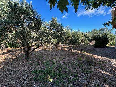 Acheter Maison Canet Herault