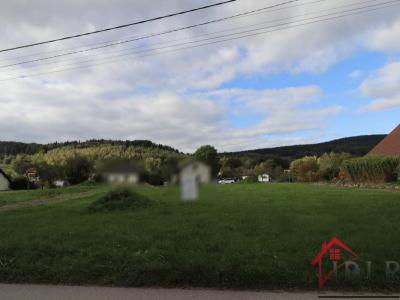 For sale Fraize 2151 m2 Vosges (88230) photo 1