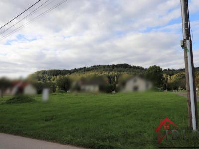 For sale Fraize 2151 m2 Vosges (88230) photo 3