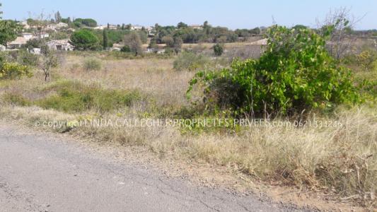 Annonce Vente Terrain Pezenas 34