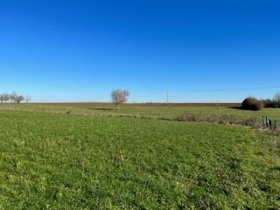 Acheter Maison Creutzwald Moselle