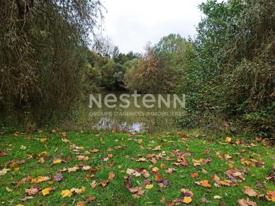 For sale Chemery LE-CONTROIS-EN-SOLOGNE 17786 m2 Loir et cher (41700) photo 3