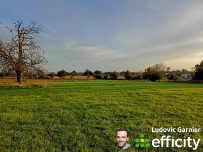 Annonce Vente 3 pices Maison Fontenay 50