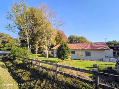 Annonce Vente 4 pices Maison Montfort-en-chalosse 40