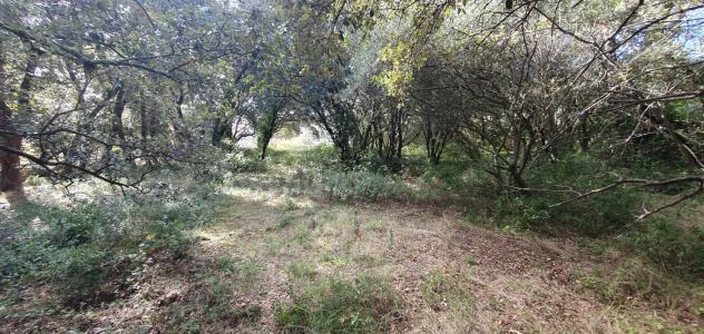 For sale Uzes 2638 m2 Gard (30700) photo 2