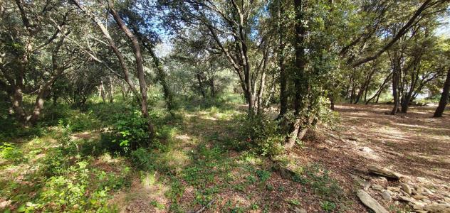 For sale Uzes 2638 m2 Gard (30700) photo 3