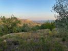 For sale Land Fayence 