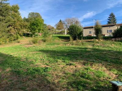 For sale Cours-la-ville 2324 m2 Rhone (69470) photo 4