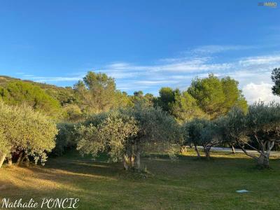 Acheter Maison Cheval-blanc Vaucluse