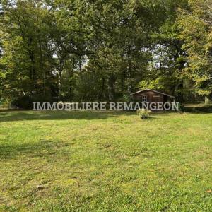 For sale Neung-sur-beuvron 1859 m2 Loir et cher (41210) photo 0