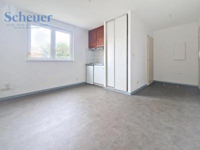 For rent Rosheim 1 room 19 m2 Bas rhin (67560) photo 1