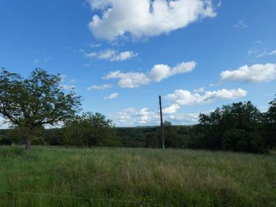 For sale Tourtoirac 2 rooms 46 m2 Dordogne (24390) photo 2