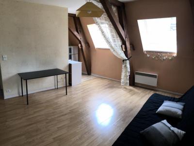 Annonce Location Appartement Dijon 21