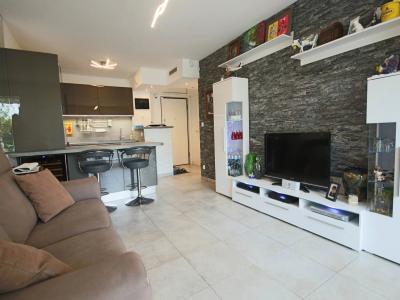 For rent Antibes SAINT JEAN 2 rooms 42 m2 Alpes Maritimes (06600) photo 0