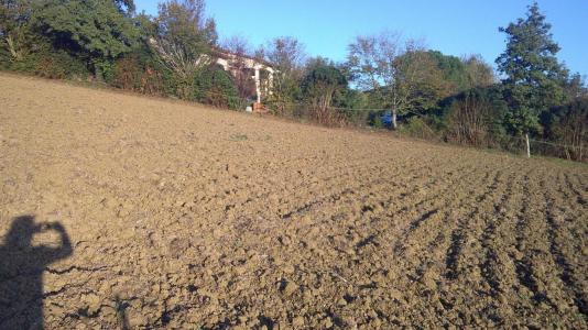 Acheter Terrain Ayguesvives Haute garonne