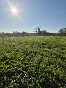 For sale Lussant 760 m2 Charente maritime (17430) photo 1