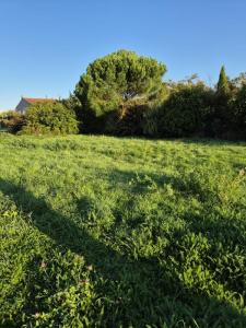 Annonce Vente Terrain Fouras 17