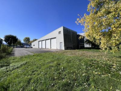 Louer Local commercial 600 m2 Saint-gaudens