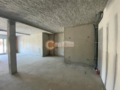 Annonce Location Local commercial Carbon-blanc 33