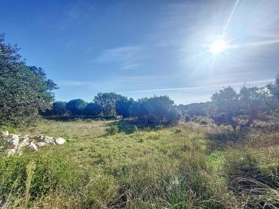 Acheter Terrain Saint-laurent-des-arbres Gard