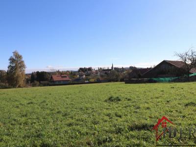 Annonce Vente 8 pices Maison Champdray 88