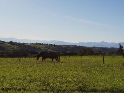 For sale Begole TRIE-SUR-BAISE 6 rooms 222 m2 Hautes pyrenees (65190) photo 3