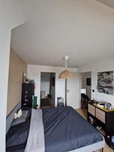 Annonce Location Appartement Nantes 44