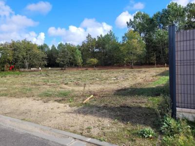 For sale Mimizan 500 m2 Landes (40200) photo 0