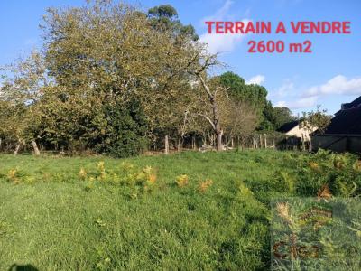 Annonce Vente Terrain Plesder 35