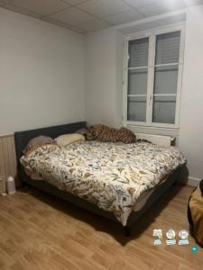 Louer Appartement 40 m2 Brumath