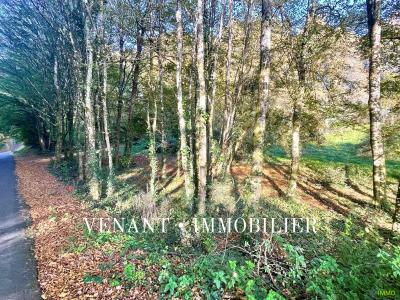 Annonce Vente Terrain Sarlat-la-caneda 24