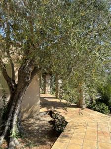 Annonce Vente 7 pices Maison Mougins 06