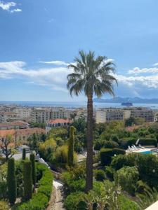 Acheter Appartement Cannes 2150000 euros