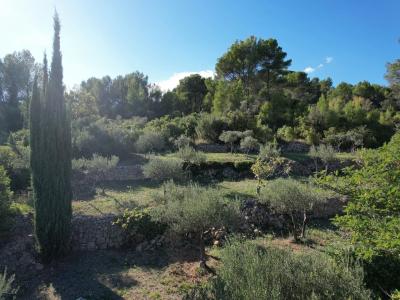 Acheter Maison Cotignac Var