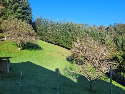 For sale Bort-les-orgues BORT LES ORGUES 3 rooms 75 m2 Correze (19110) photo 3