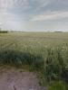 For sale Land Saint-etienne-sur-suippe  496 m2