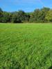 For sale Land Courpiere  5779 m2