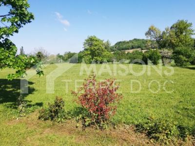 For sale Vielmur-sur-agout 1400 m2 Tarn (81570) photo 0