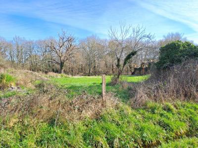 For sale Saint-vivien-de-medoc 2 rooms 50 m2 Gironde (33590) photo 2