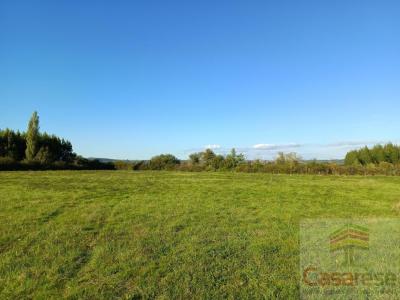 For sale Saint-nicolas-de-la-grave 816 m2 Tarn et garonne (82210) photo 0